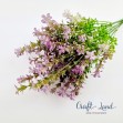 Букет синчец Лилав