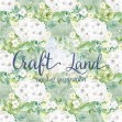 White Hydrangea by DesignLoverStudio
