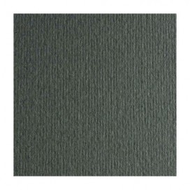 Картон Elle Erre Ferro 100/70cm 220gr