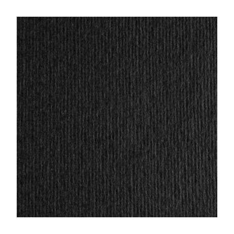 Картон Elle Erre Nero 100/70cm 220gr