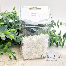 Пайети зведички DP Craft холограмни